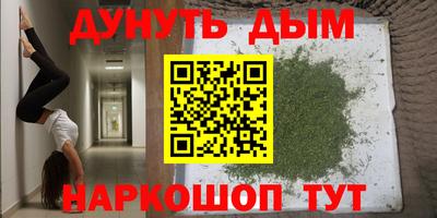 индика Малгобек