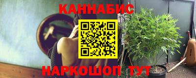 индика Малгобек