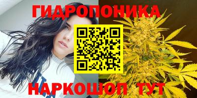 индика Малгобек