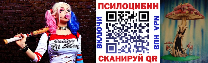 hydra ТОР  Тихорецк  Галлюциногенные грибы Magic Shrooms  где купить наркотик 