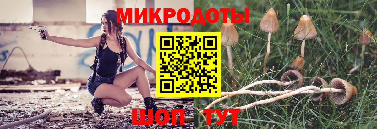 Псилоцибиновые грибы Psilocybine cubensis Тихорецк