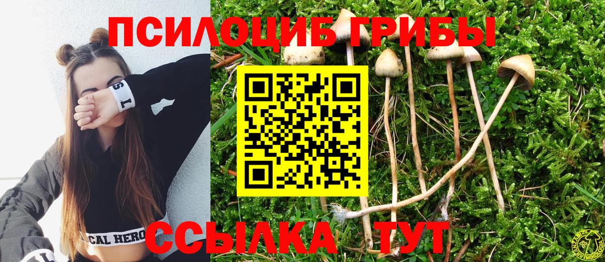 купить   Псилоцибиновые грибы MAGIC MUSHROOMS  Вход с VPN  Тихорецк 